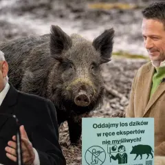 Jarosław Kaczyński i inny mężczyzna obok dzika w Polsce. Tabliczka głosi: "Oddajmy los dzików w ręce ekspertów, nie myśliwych!".
