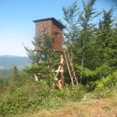 Drewniana ambona myśliwska na wzgórzu, otoczona zielenią. Widok na góry w oddali.