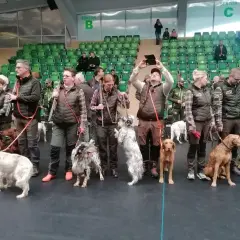 Kto to jest kynolog? To osoba z psem, przygotowująca się do zawodów. Widać tu wielu pasjonatów i ich czworonożnych towarzyszy.