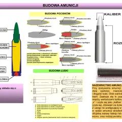Budowa amunicji: pocisk i łuska, różne rodzaje pocisków i ich budowa. Nabój strzelecki to zespolenie pocisku, łuski, spłonki i ładunku.