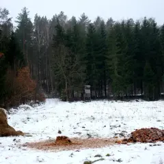 Zimowy krajobraz z lasem w tle. Na śniegu widać stóg siana i resztki jedzenia, które służą jako nęcisko na lisa. Obok stoi ambona myśliwska.