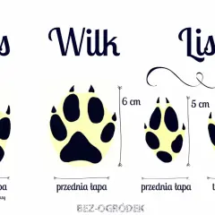 Porównanie śladów łap: psa, wilka i lisa. Widać różnice w wielkości i kształcie, szczególnie ślady lisa są mniejsze.
