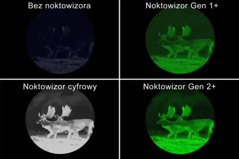 Sarny nocą: bez noktowizora ledwo widoczne, cyfrowy daje czarno-biały obraz, a noktowizory Gen 1+ i Gen 2+ pokazują je w zieleni, jak widać przez noktowizor.