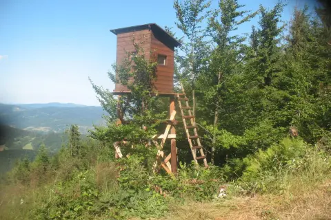 Drewniana ambona myśliwska na wzgórzu, otoczona zielenią. Widok na góry w oddali.
