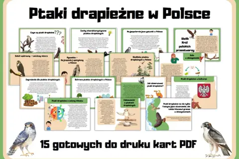 Wszystkie rodzaje ptaków drapieżnych w Polsce: od sokola wędrownego po bielika. Poznaj ich cechy, siedliska i rolę w ekosystemie.