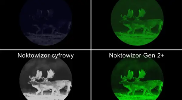 Sarny nocą: bez noktowizora ledwo widoczne, cyfrowy daje czarno-biały obraz, a noktowizory Gen 1+ i Gen 2+ pokazują je w zieleni, jak widać przez noktowizor.