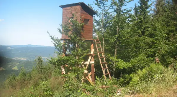 Drewniana ambona myśliwska na wzgórzu, otoczona zielenią. Widok na góry w oddali.