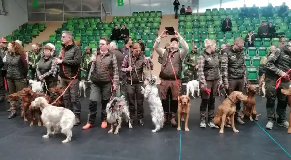 Kto to jest kynolog? To osoba z psem, przygotowująca się do zawodów. Widać tu wielu pasjonatów i ich czworonożnych towarzyszy.