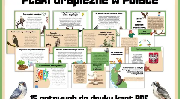 Wszystkie rodzaje ptaków drapieżnych w Polsce: od sokola wędrownego po bielika. Poznaj ich cechy, siedliska i rolę w ekosystemie.