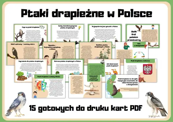 Wszystkie rodzaje ptaków drapieżnych w Polsce: od sokola wędrownego po bielika. Poznaj ich cechy, siedliska i rolę w ekosystemie.